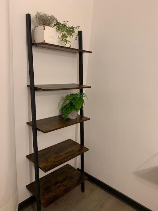 شقة Dga Loft In Padua Center A Few Steps From Squares المظهر الخارجي الصورة